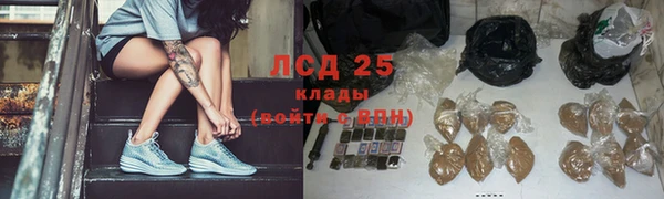 ГАЛЛЮЦИНОГЕННЫЕ ГРИБЫ Алексеевка