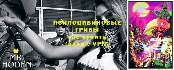 ГАЛЛЮЦИНОГЕННЫЕ ГРИБЫ Алексеевка