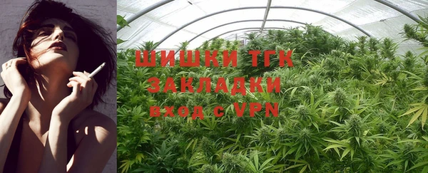 ГАЛЛЮЦИНОГЕННЫЕ ГРИБЫ Алексеевка