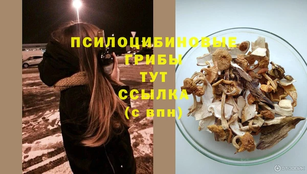 стаф Алексин