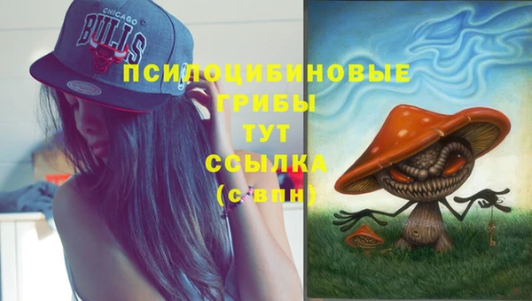 стаф Алексин