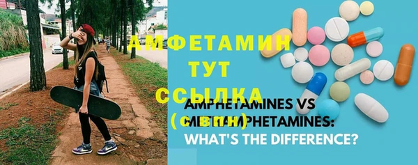 стаф Алексин