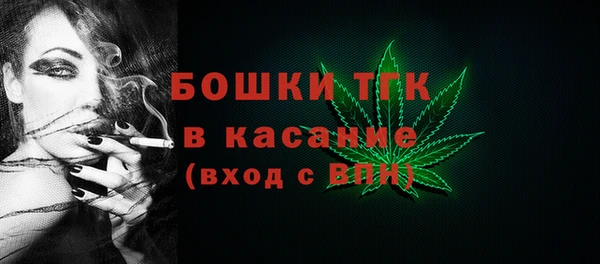 стаф Алексин