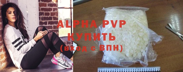 стаф Алексин