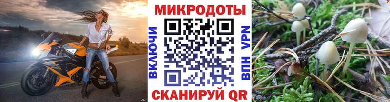 Галлюциногенные грибы Magic Shrooms  где можно купить наркотик  Родники 